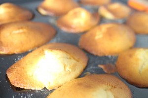 madeleines1