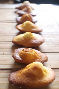 madeleines2